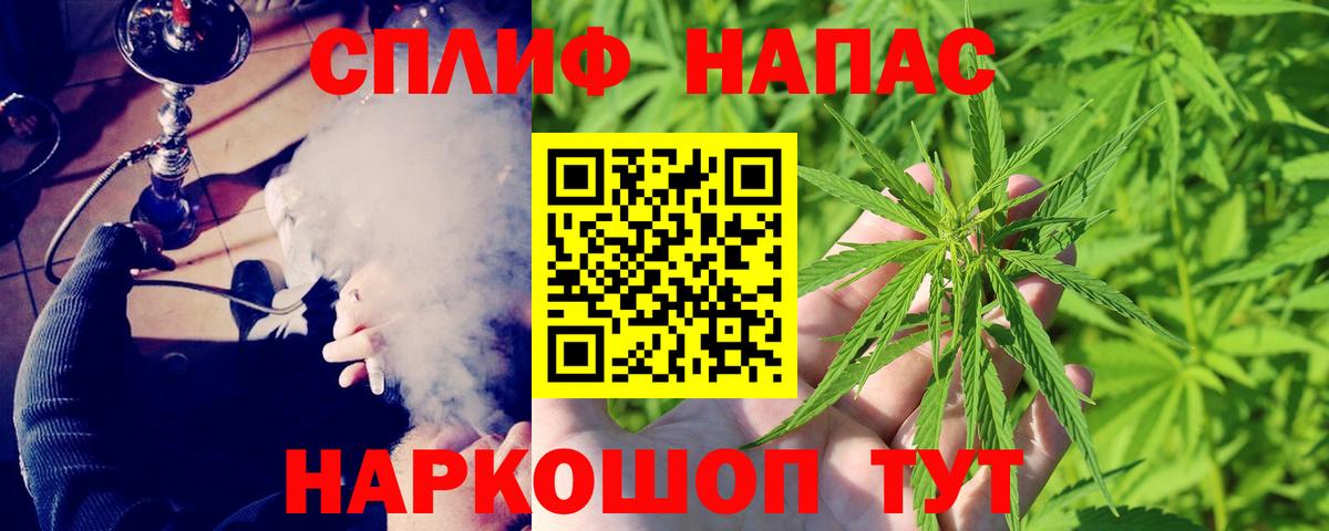Бошки марихуана White Widow  Каннабис ГИДРОПОН  Бошки марихуана конопля  Туймазы  Каннабис сатива  Вход с VPN 